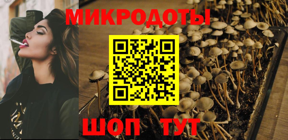 Спасск-Дальний  наркотики  Вход с VPN  Галлюциногенные грибы GOLDEN TEACHER 